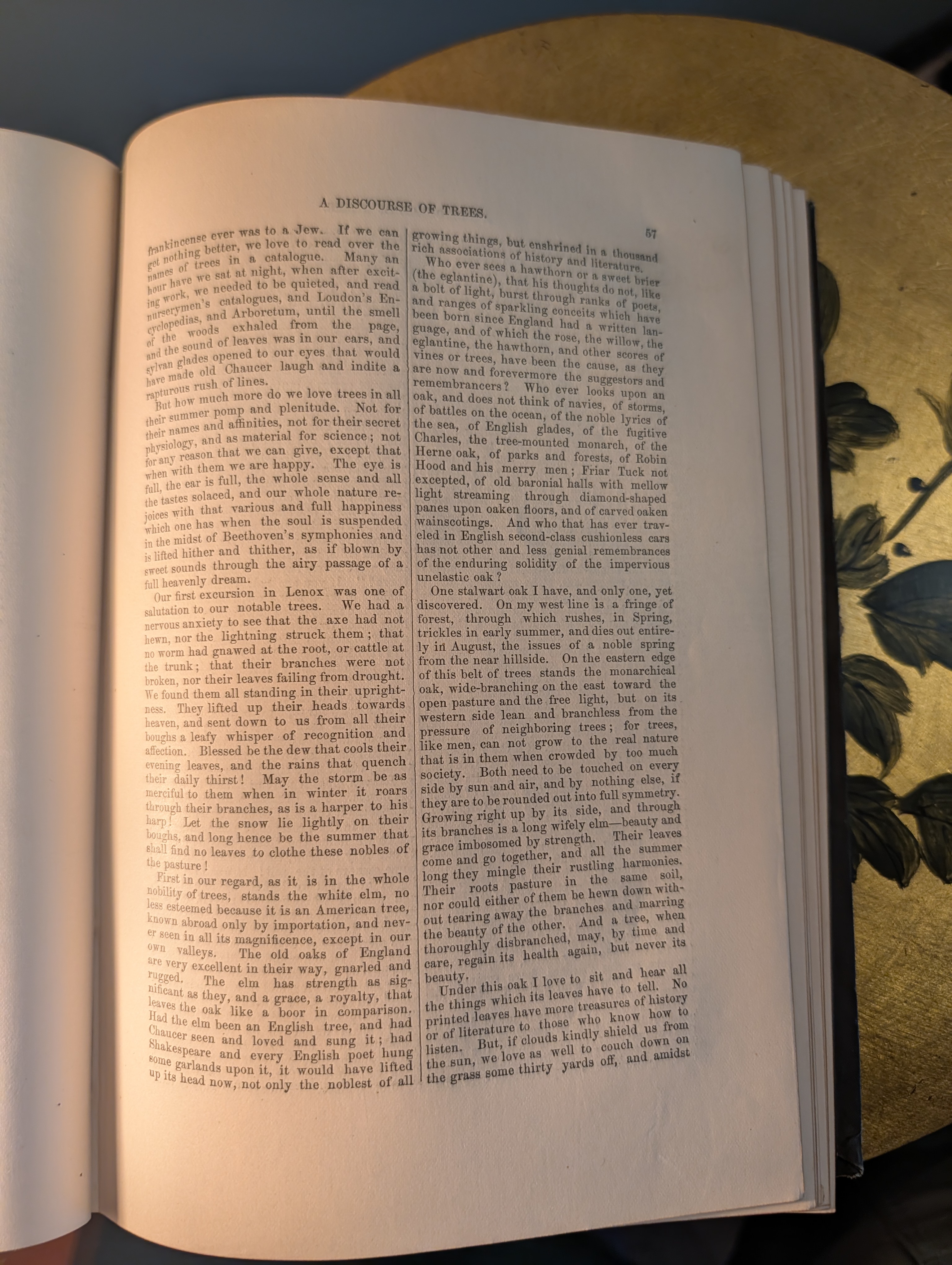 Claude-tidied (AI summary of a hard-to-OCR leaf)
