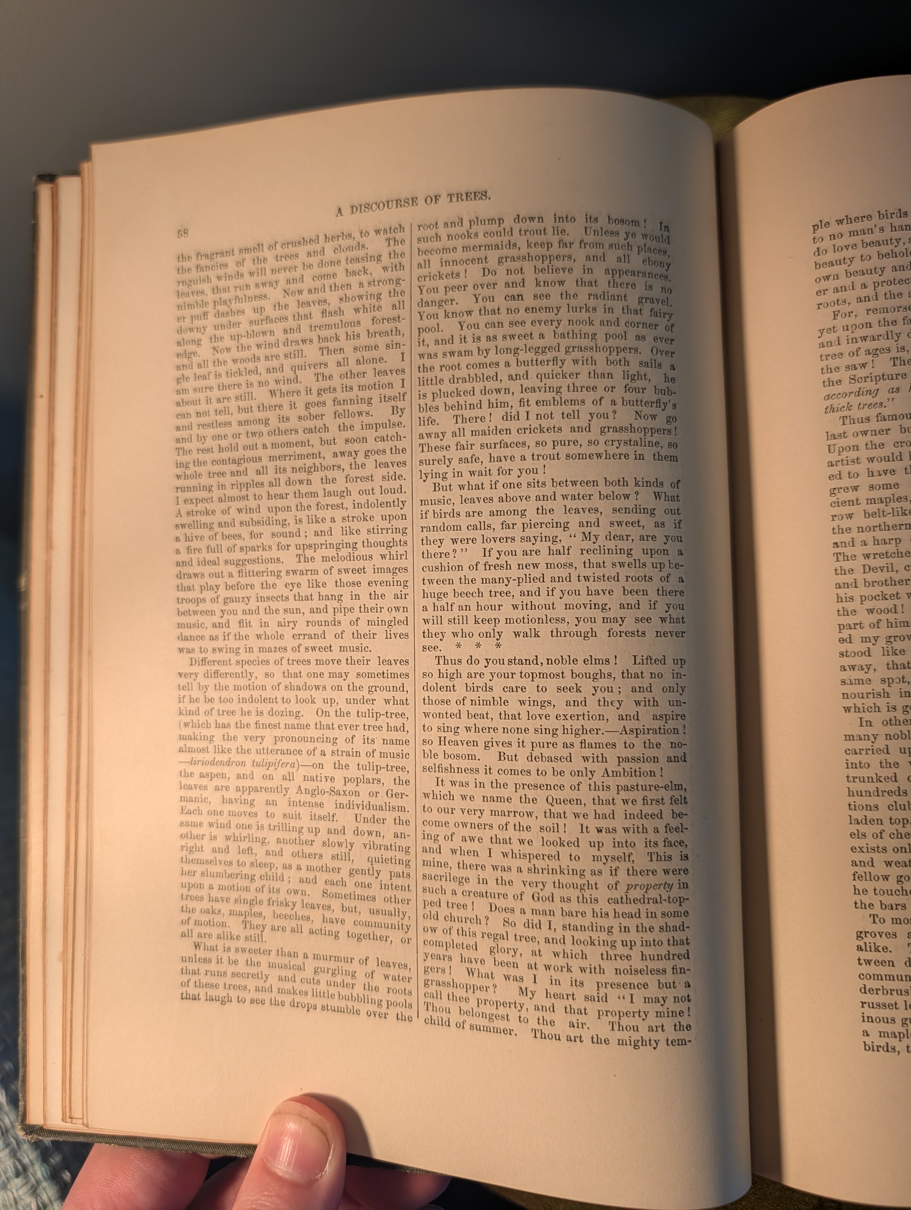 Claude-tidied (AI summary of a hard-to-OCR leaf)
