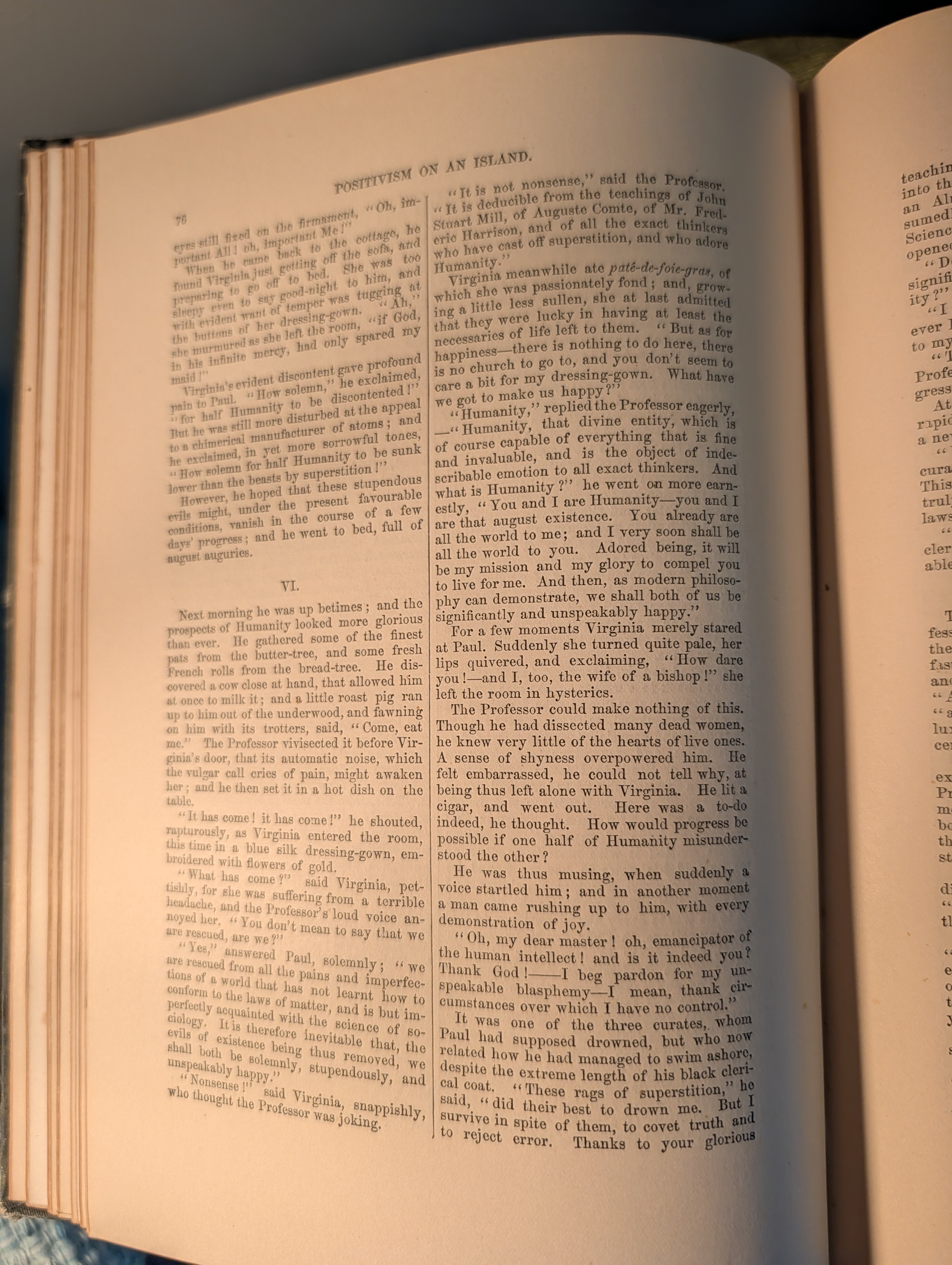 Positivism on an Island, section VI, prose narrative